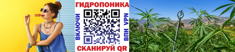 Купить  Кушва  Канабис MAZAR 